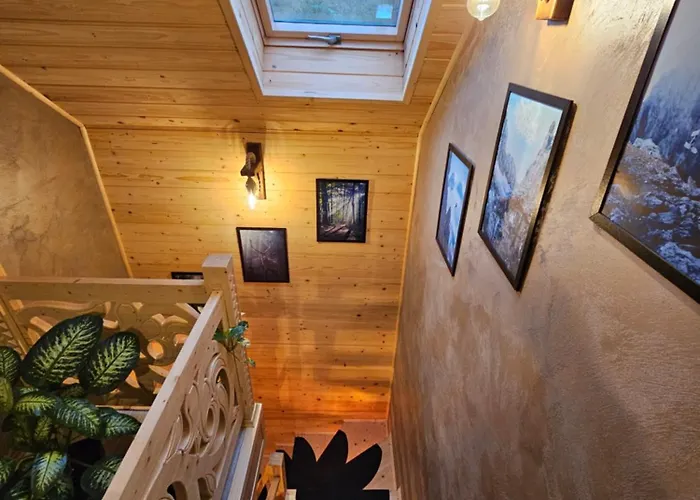 Lesne Zacisze & Na Wylacznosc בית נופש Lubień